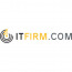 IT Firm logo